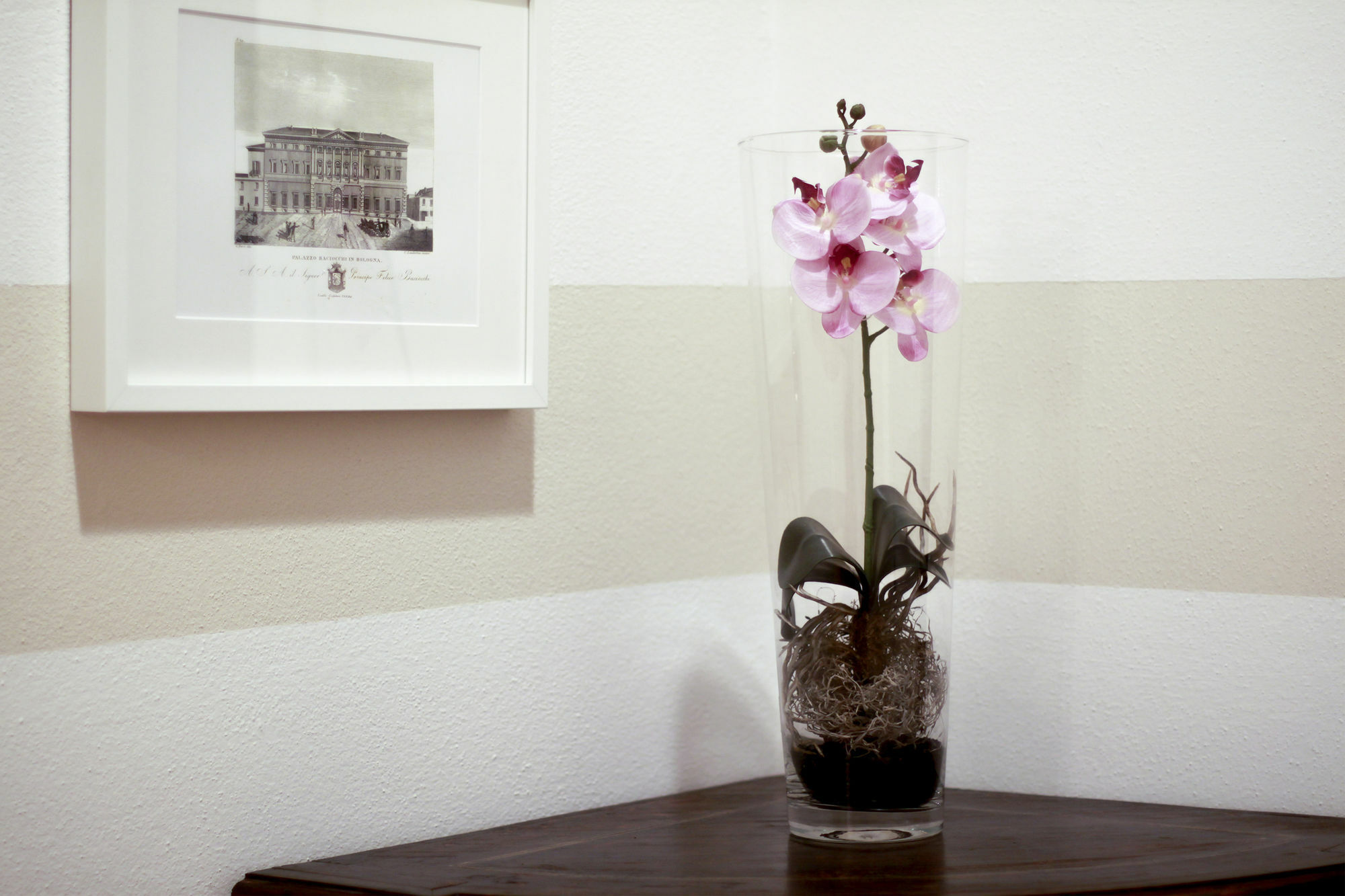 בולוניה Casa Isolani Luxury Rooms Piazza Maggiore מראה חיצוני תמונה